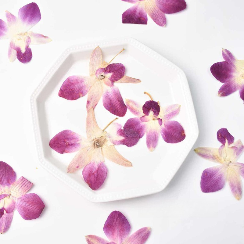 Resin Craft Ideas - 4 stuks, echte geperste vlinderorchideebloemen, doe-het-zelf