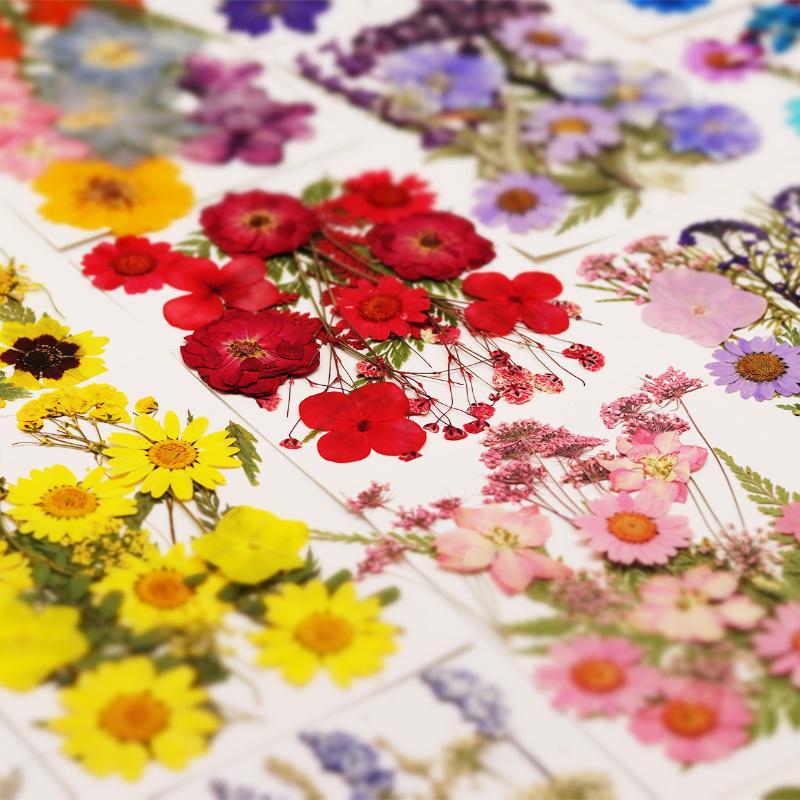 Resin Craft Ideas - Echte natuurlijke gedroogde plantenbloemen, DIY-knutselmateriaal voor