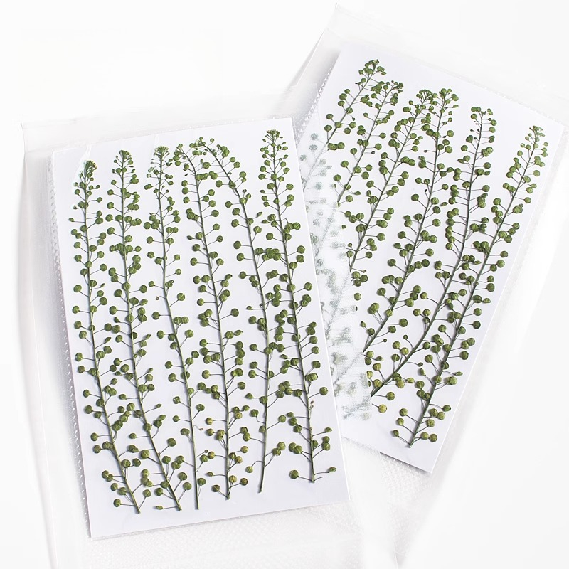 Natuurlijke kleur groene bel g - Resin Craft Ideas recensie en prijs