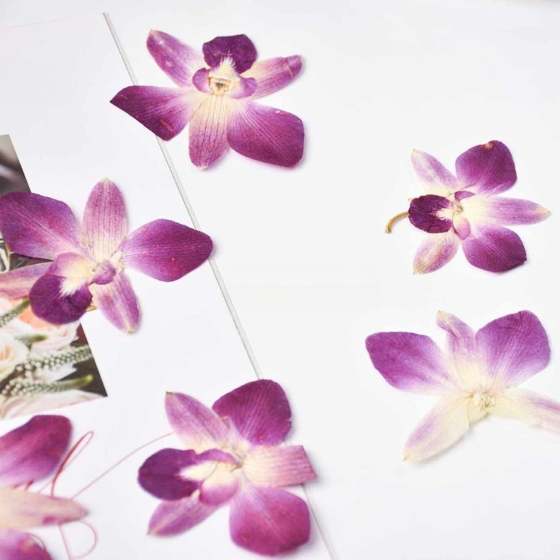 4 stuks, echte geperste vlinde - Resin Craft Ideas recensie en prijs