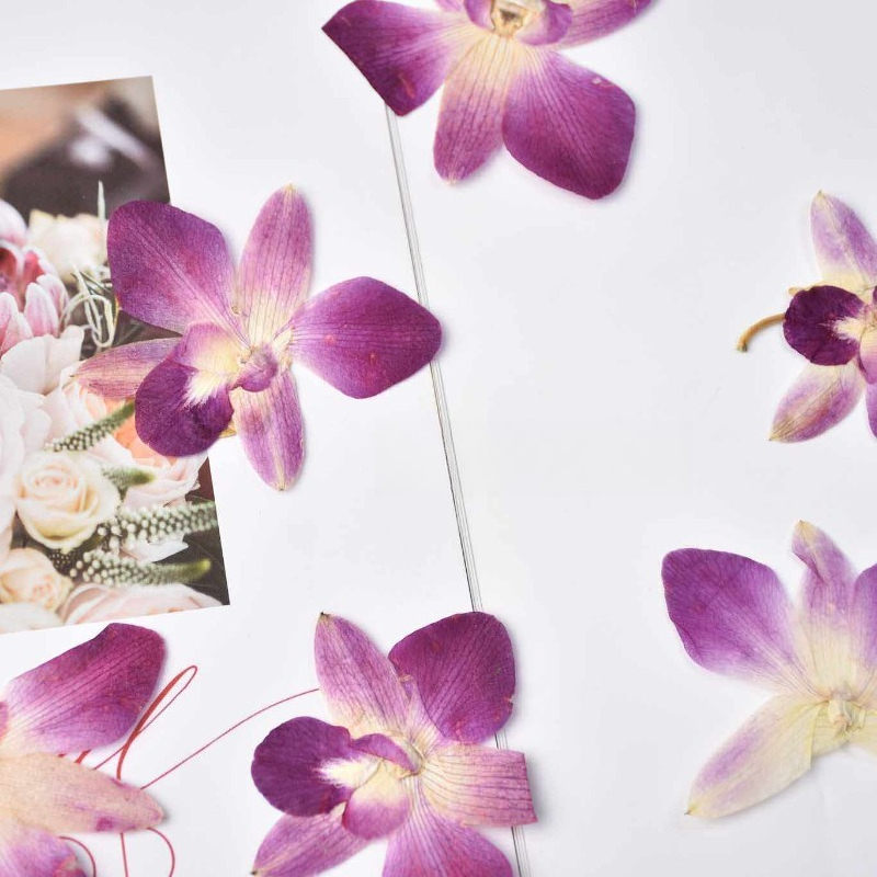 4 stuks, echte geperste vlinde - Resin Craft Ideas recensie en prijs