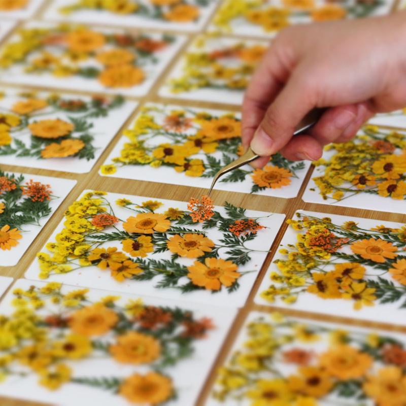 Echte natuurlijke gedroogde pl - Resin Craft Ideas recensie en prijs