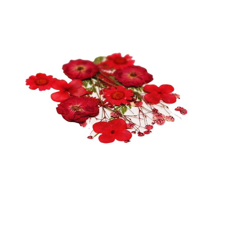 Echte natuurlijke gedroogde pl - Resin Craft Ideas recensie en prijs